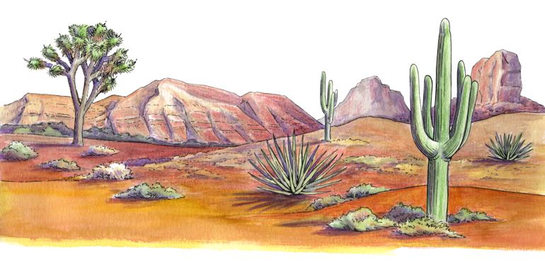 An artwork representation of a desert landscape with a stylized Joshua Tree, cacti, yucca plants, and sandstone hills