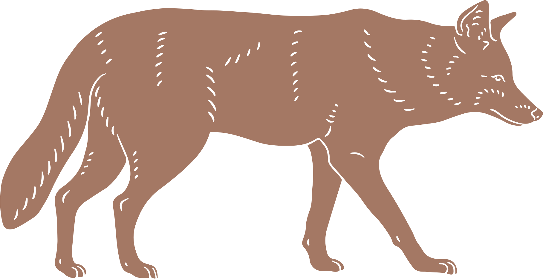 coyote logo