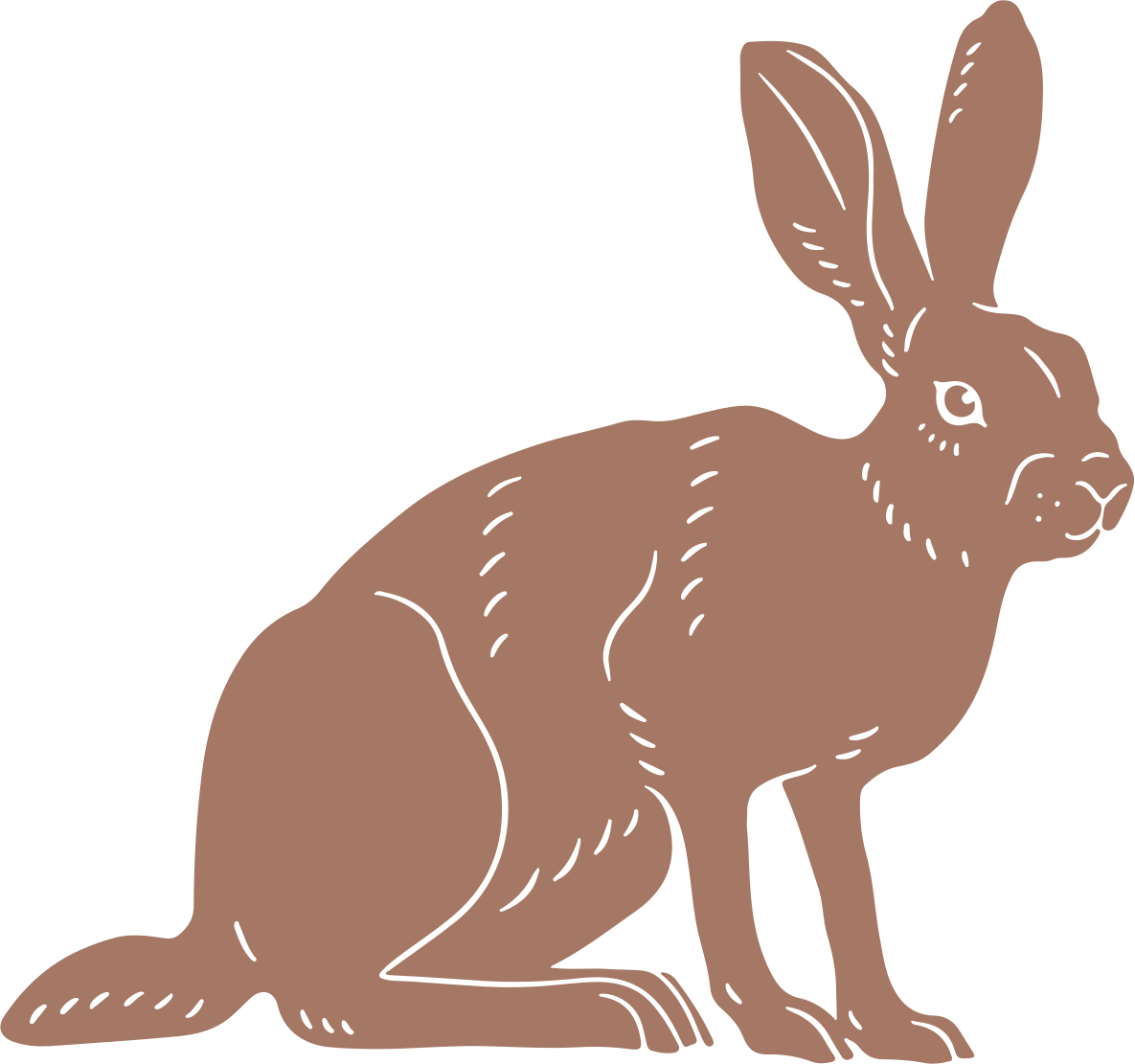jackrabbit logo